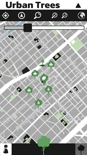 Urban Trees Screen 2