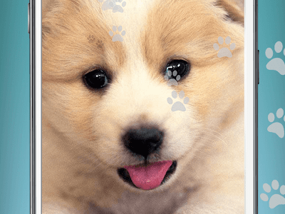 [10000印刷√] 高 画質 犬 壁紙 iphone 592969