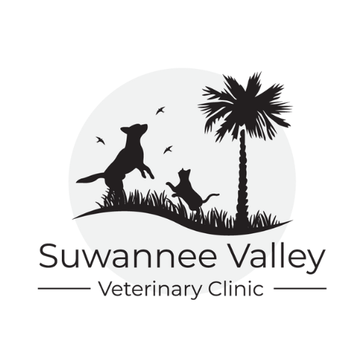 Suwannee Valley VC logo