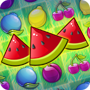 Fruit Party  Icon