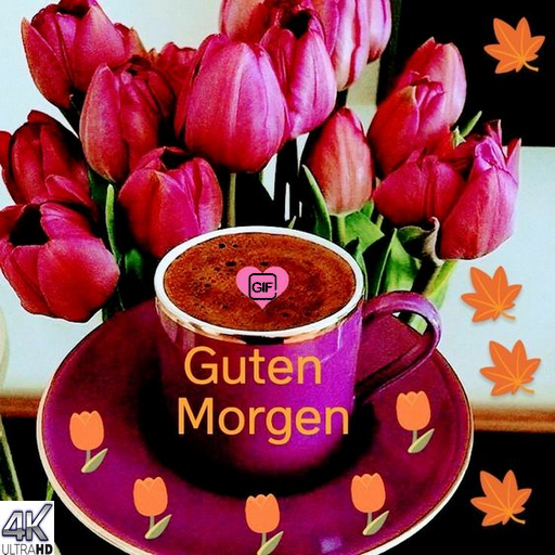 Guten Morgen  Bilder 2023