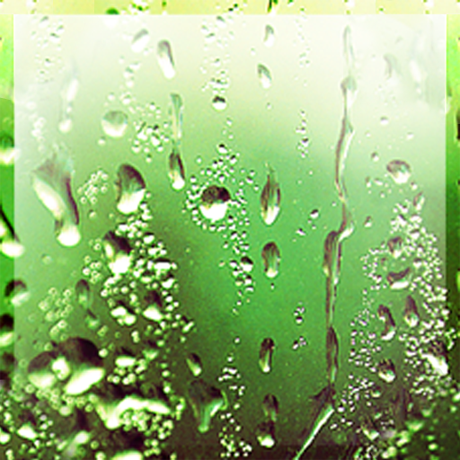 Rain Live Wallpaper logo