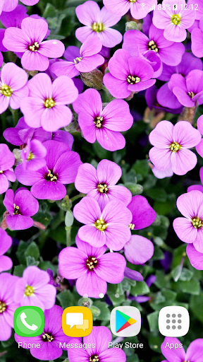 Android application Beautiful Spring Wallpapers screenshort