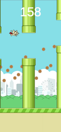 Cat Fly Screen 2