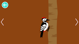 Game screenshot Black White Animals for Babies mod apk