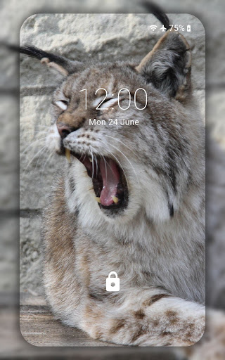 Lynx wallpaper