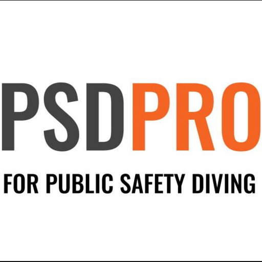 PSDPRO logo