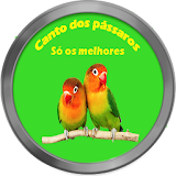 Canto dos pássaros icon