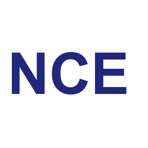New-Tonne Lifting Inspections logo