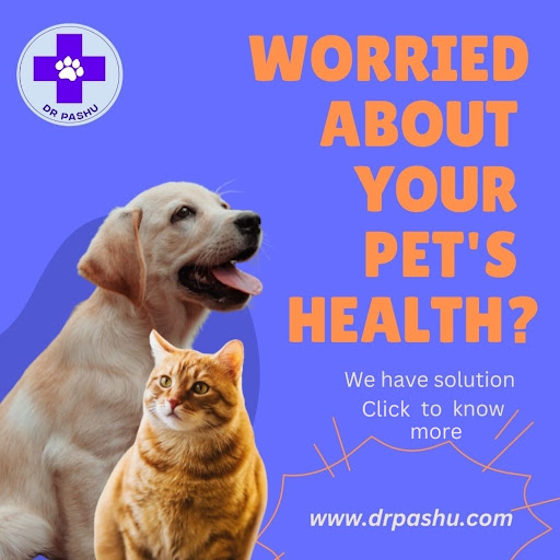 DrPashu - Instant Online Vet Screen 3