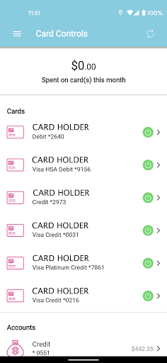FedChoice Card Controls Screen 2
