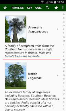 Trees of Britainのおすすめ画像2