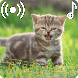 Icon image Cat Sounds Ringtone