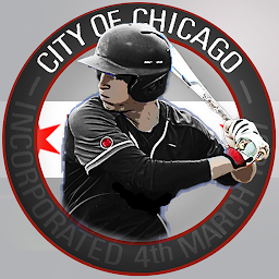 图标图片“Chicago Baseball - Sox Edition”