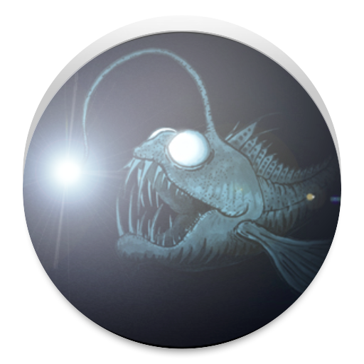 Fish FlashLight  Icon