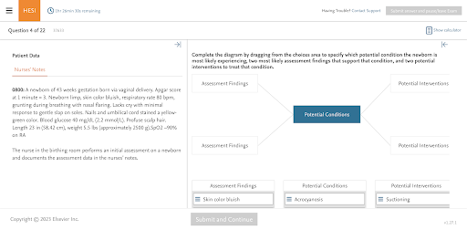 Elsevier Secure Browser Screen 2