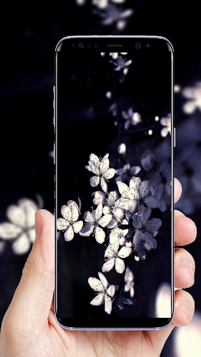 Black  White Flower Wallpaper