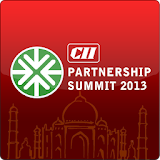 CII 2013 icon
