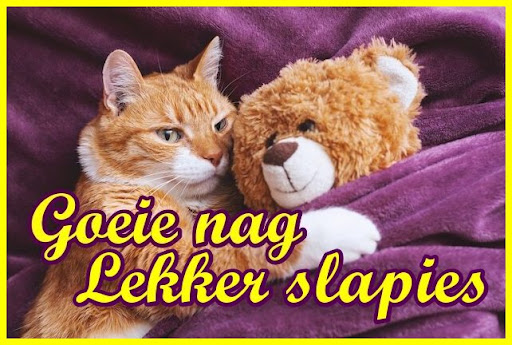 Goeie nag Lekker slapies