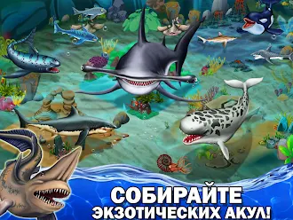 Game screenshot Shark World apk download