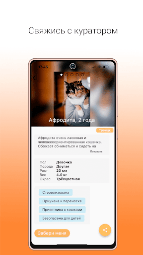 Goodog взять питомца из приюта Screen 3