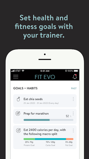 Screenshot of Fit Evo Online
