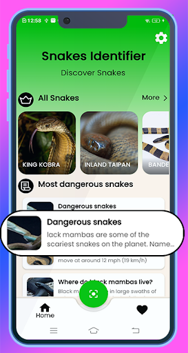 Snake IDentifier Screenshot 1 - AppWisp.com
