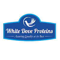 White Dove Proteins