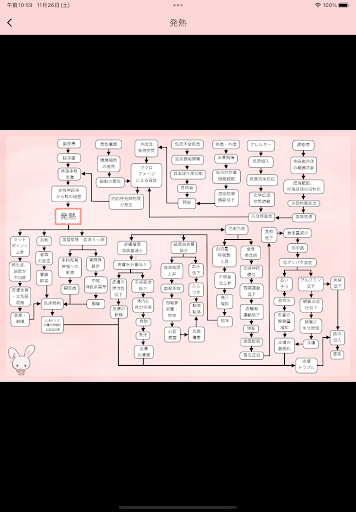 らくらく関連図・看護計画 Screenshot