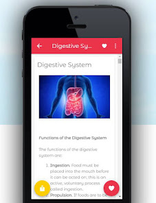Screenshot 4 Human Anatomy & Physiology android