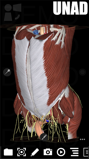 Android application 3Dissect Abdomen UNAD screenshort