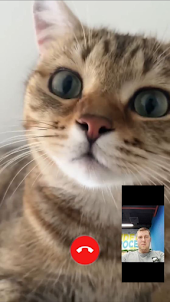 Cat Prank Video Call Fake Chat
