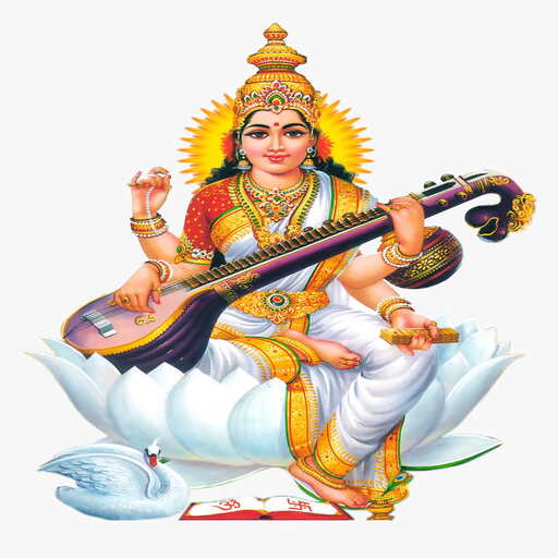 Saraswati Group Tuition logo