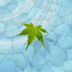 朱夏の水紋 ライブ壁紙 Google Play のアプリ