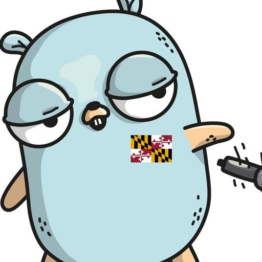 Golang Libraries and Compiler logo
