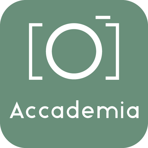 Accademia Gallery Visit, Tours 2.0 Icon