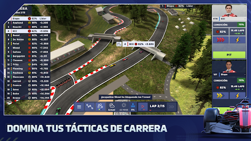 Vista previa de la aplicación
