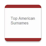 Top American Surname icon