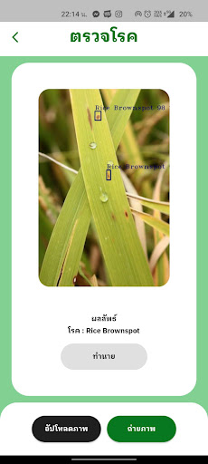 ตรวจสอบโรคใบพืช Screen 3