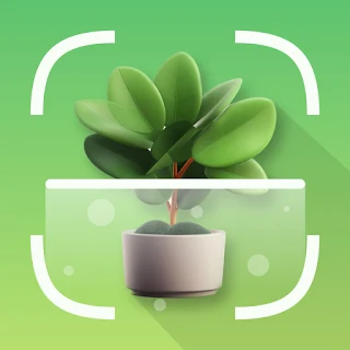 Ai PlantID: Plant Identifier