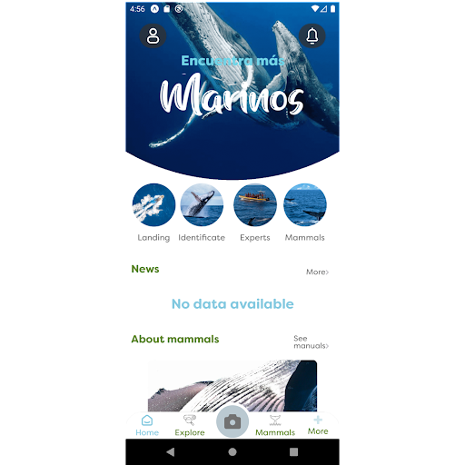 Android application GIZ - mamíferos marinos screenshort