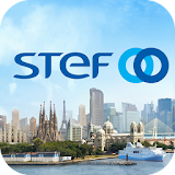 STEF - Publication icon