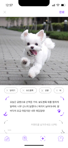 Android application 반다 - 반려일기 자동생성 AI, 사진관리 screenshort