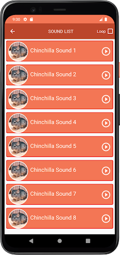 Chinchilla Sounds Screen 3