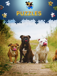 Dogs Jigsaw Puzzle Games - Screenshot 3