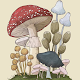 Mushroom Wallpaper Download on Windows