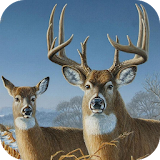 Deer Wallpapers icon