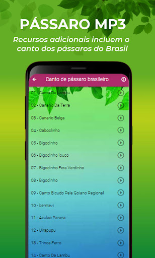 O Canto do Jacu Pássaro Screenshot 3 - AppWisp.com