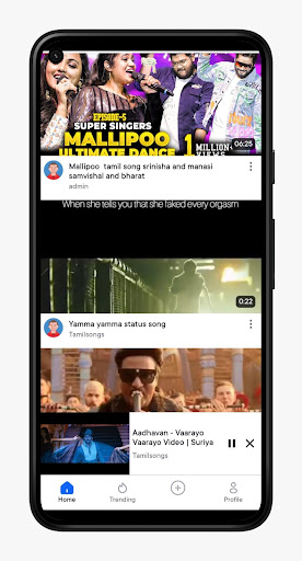 Vidsmine Screen 3