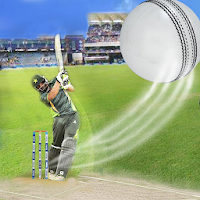 PSL Slider Puzzle Cricket game 2020